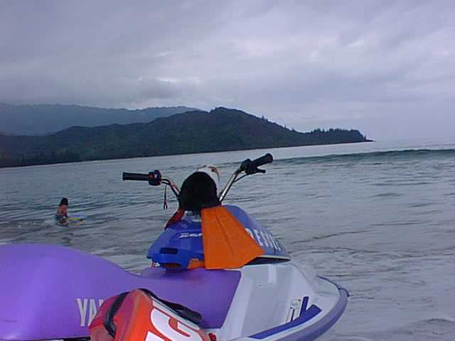 Fluffy on Lifeguard Jet Ski Photo